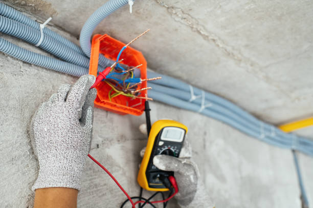 Best Electric Panel Repair  in Jacinto City, TX
